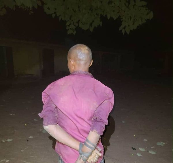 Nigeria : l'armée libère des otages et interpelle un suspect à Nasarawa et Benue