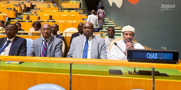 Assemblée de l'ONU : le Tchad représenté par le ministre de la Santé