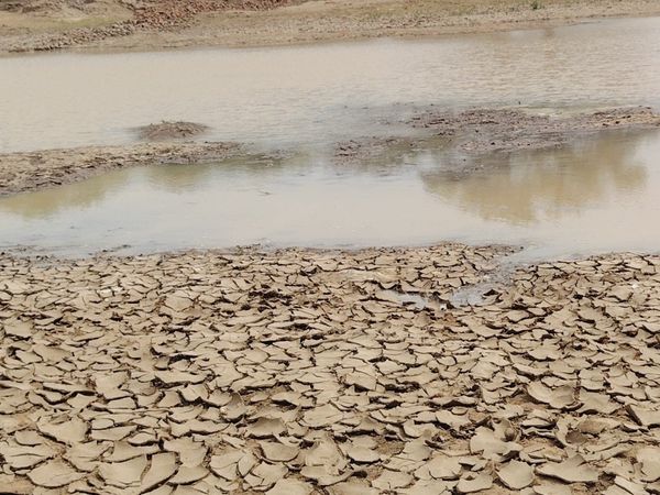 Tchad : au Batha, une délégation ministérielle constate le tarissement alarmant du fleuve