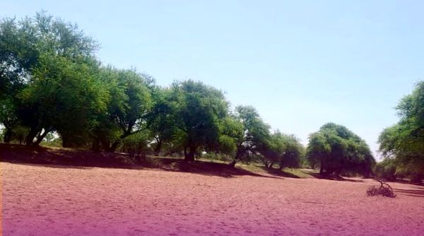 Tchad : au Batha, la rivière « Millim » à sec pour la première fois en soixante ans