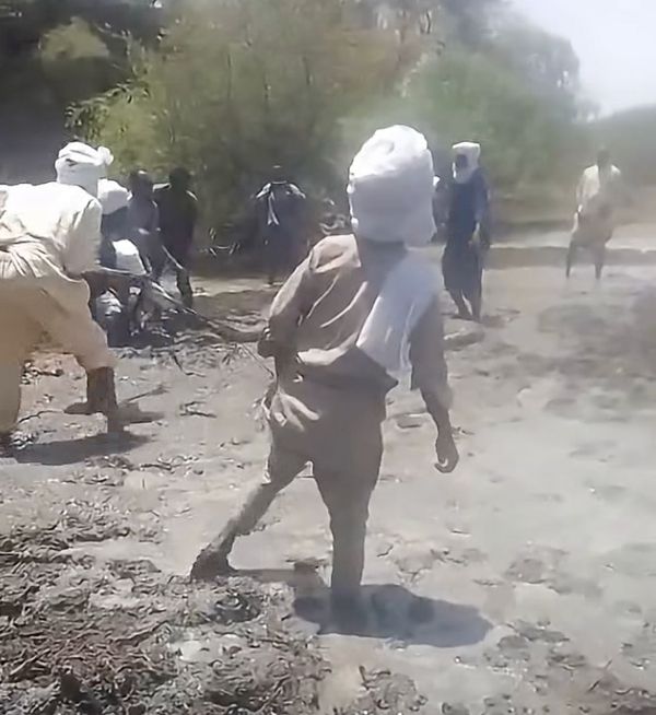 Tchad : un python capturé au Kanem et relâché dans le parc national de Zah Soo