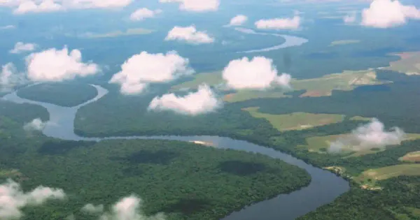 Bassin du Congo : la Déclaration de Yaoundé réinvente l'action parlementaire par la science et le financement