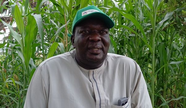 Tchad : Moussafoyo, au cœur des défis et de l'histoire d'un canton centenaire du Moyen-Chari
