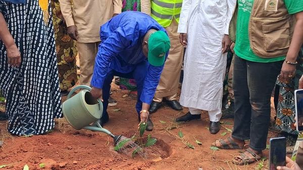 Tchad : Koumra abrite le lancement de la 54e édition de la Semaine nationale de l’arbre