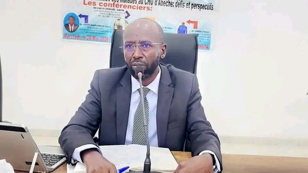 Tchad : à Abéché, 3 919 accouchements enregistrés en neuf mois au CHUA
