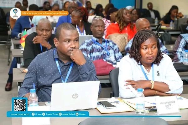 Abidjan : les Conseillers Emploi de l’ONAPE du Tchad brillent lors de la certification AASEP/WAPES