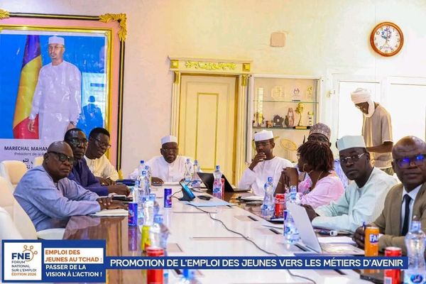 FNE 2026 au Tchad : réunion de cadrage décisive pour les plans d'action