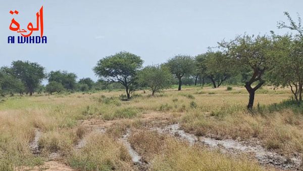 Tchad : des affrontements meurtriers à Kouzi-Wahit (Salamat), le délégué général est sur le terrain