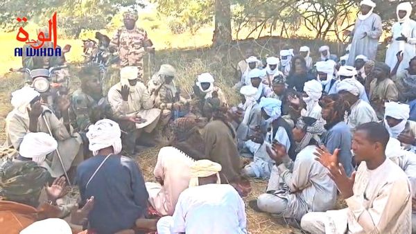 Tchad : au Salamat, le sous-préfet d'Ardo a désamorcé un conflit entre agriculteurs et élèveurs