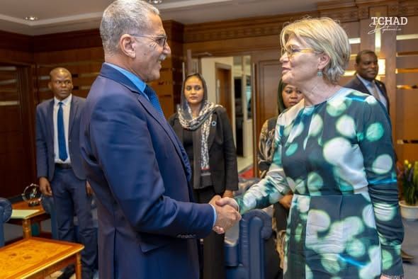 Tchad - Union européenne : un dialogue politique recentré sur la sécurité et le Sahel