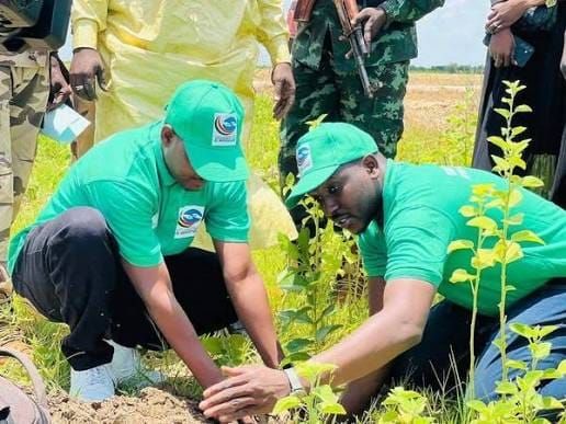 Tchad : grandir dans une ville sans espaces verts, quel impact sur les jeunes ?