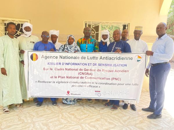 Tchad : à Moussoro, une stratégie préventive de lutte contre le criquet pèlerin