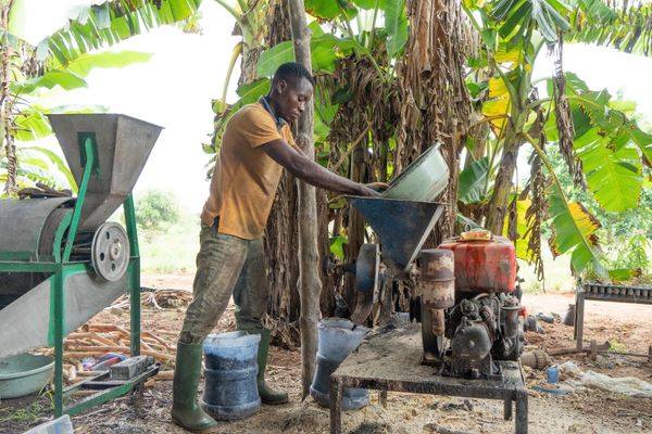 Bénin : un accord de 37 millions de dollars du FIDA pour l'emploi des jeunes ruraux