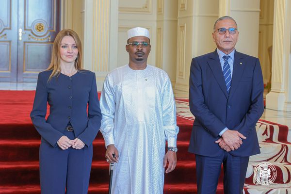 Coopération Tchad-Israël : la nouvelle ambassadrice présente ses copies figurées