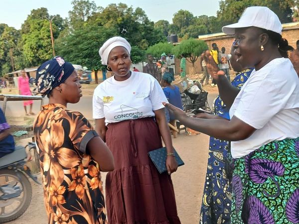 Tchad : à Sarh, des entrepreneurs autour des produits forestiers non ligneux