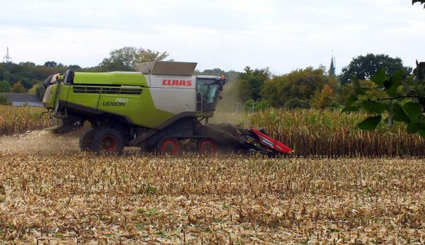 Le Département d'État américain lance huit nouveaux laboratoires pour la recherche agricole mondiale