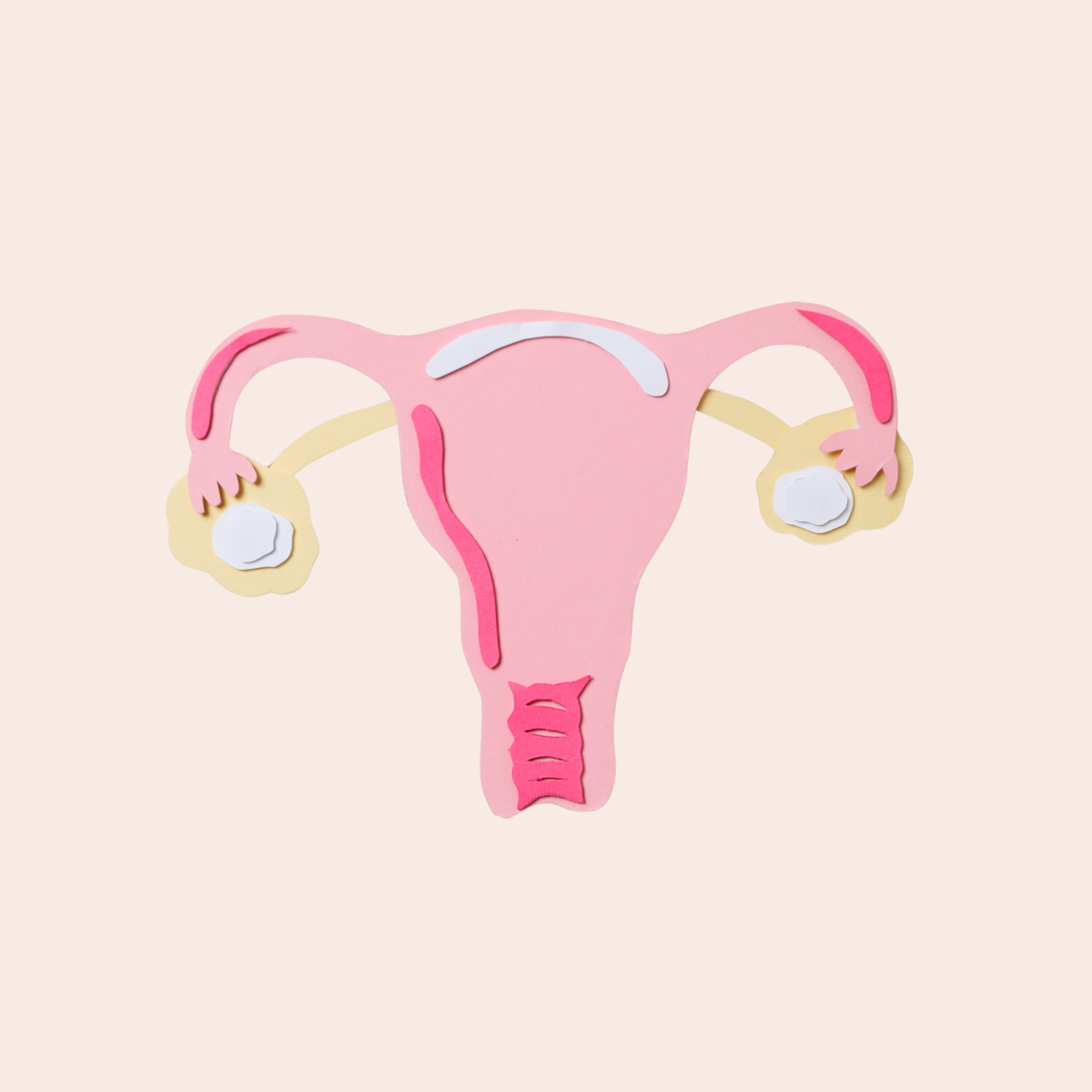 Image of paper cut-out shaped like uterus and ovaries. 