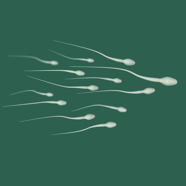 Image of sperm.
