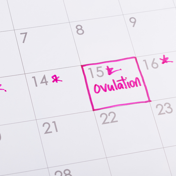 Does Nutrition Affect Ovulation? Diet, Hormones, and Fertility