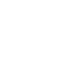 Rise of AI Conference