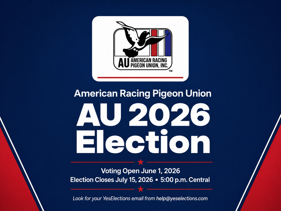 AU Members Begin Voting in 2026 Election