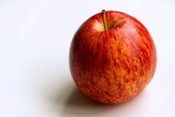 Newton's Law of Gravity