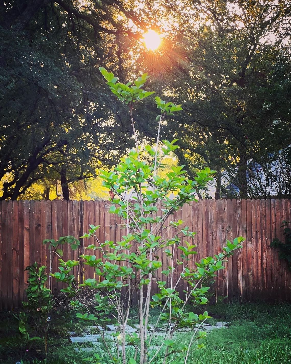 Day 17