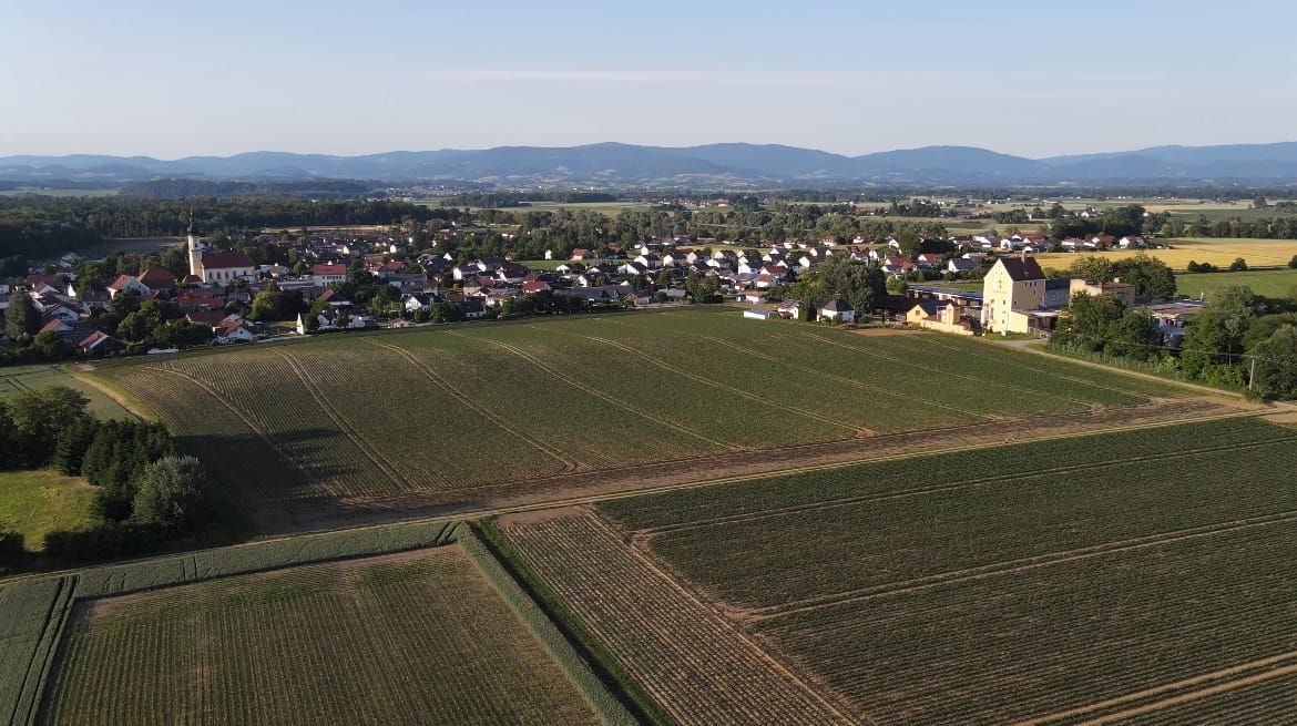 🚧 Irlbach: SR 7 wird ab 16. Juli voll gesperrt – Sanierung bis Ende November