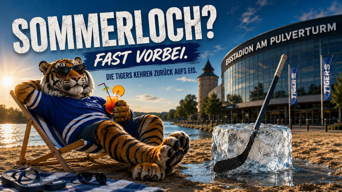 Sommerloch? Fast vorbei. Die Tigers nehmen wieder Fahrt auf.