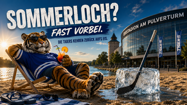 Sommerloch? Fast vorbei. Die Tigers nehmen wieder Fahrt auf.