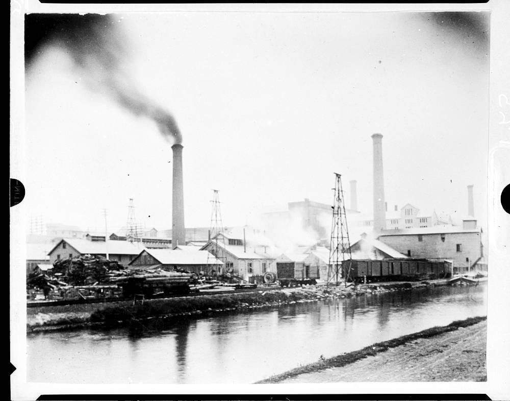 Economic Transformation and the Fires of Revival