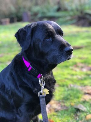 Such a Cutie. We named her Luna