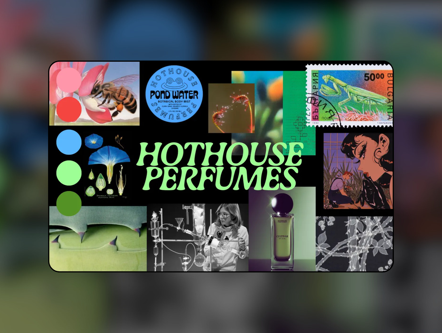 Hothouse Perfumes branding & product development post image
