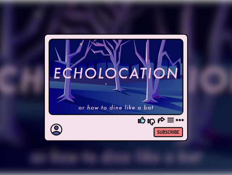 Echolocation: Or How to Dine Like a Bat post image