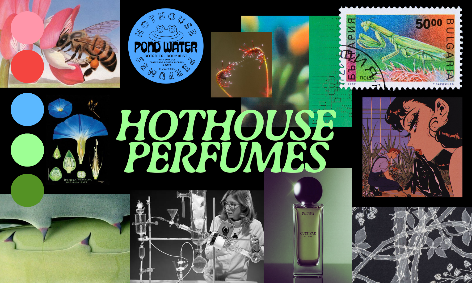 Hothouse Perfumes branding & product development