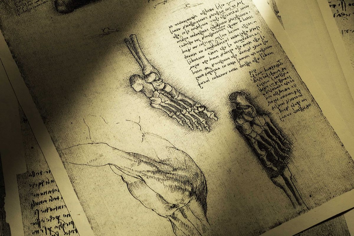 Close-up of Leonardo da Vinci's anatomical notebook pages, showing hand-drawn sketches of a foot skeleton and forearm muscles alongside handwritten notes, in sepia tone.