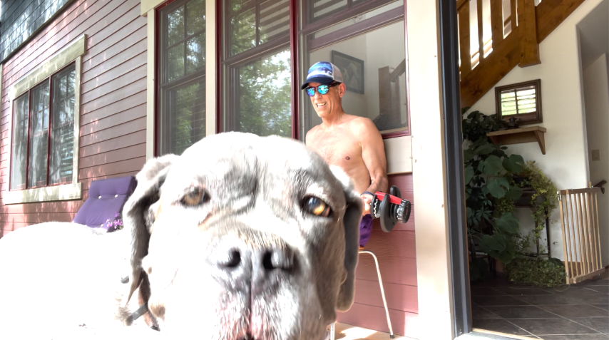 the dogs begin to bark and the hounds begin to howl