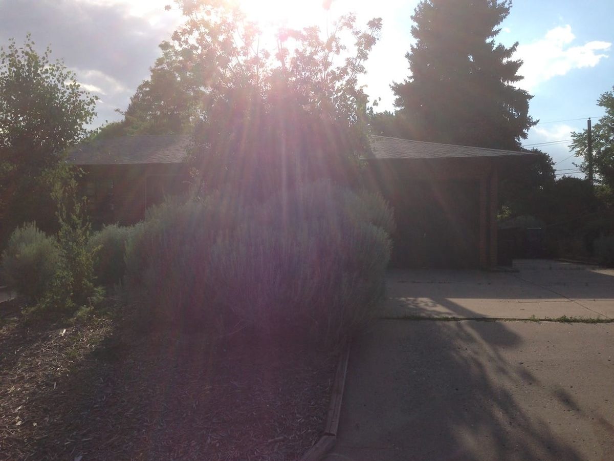 my mom's furnace was good for America