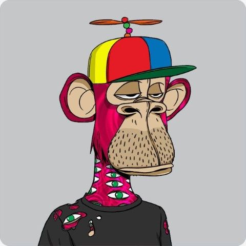 Nobody knows you, when you're down and out