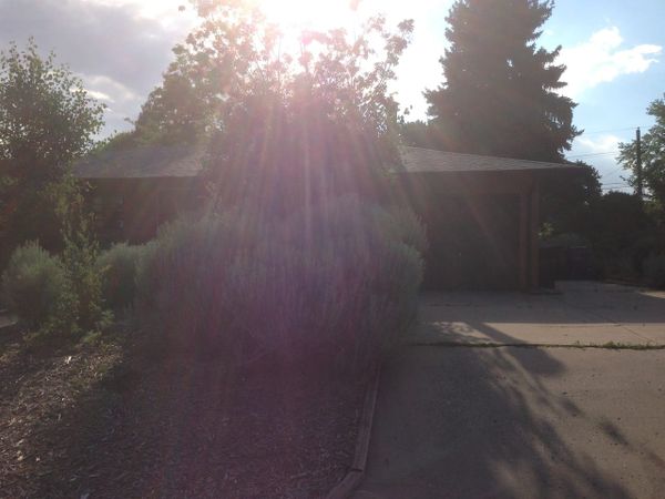 my mom's furnace was good for America