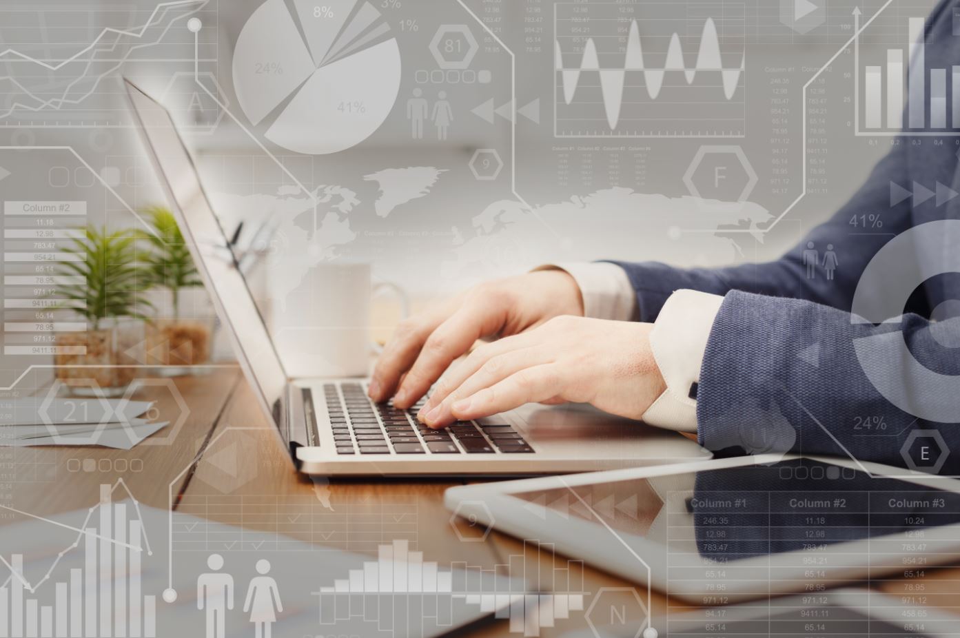 optimisation contenus