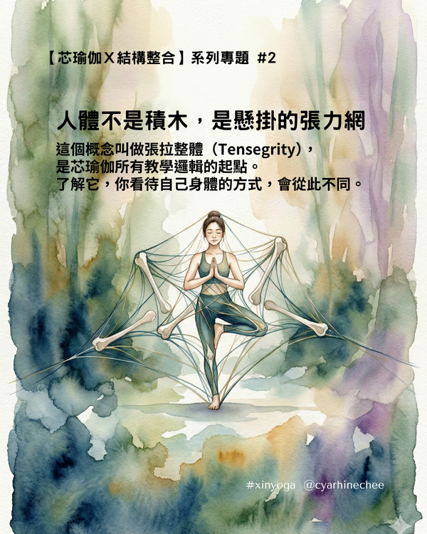 人體不是積木，是一張懸掛的張力網