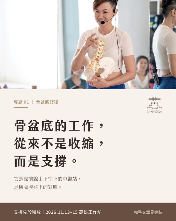 骨盆底不是一塊要夾緊的肌肉