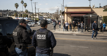 Who Polices the Immigration Police?