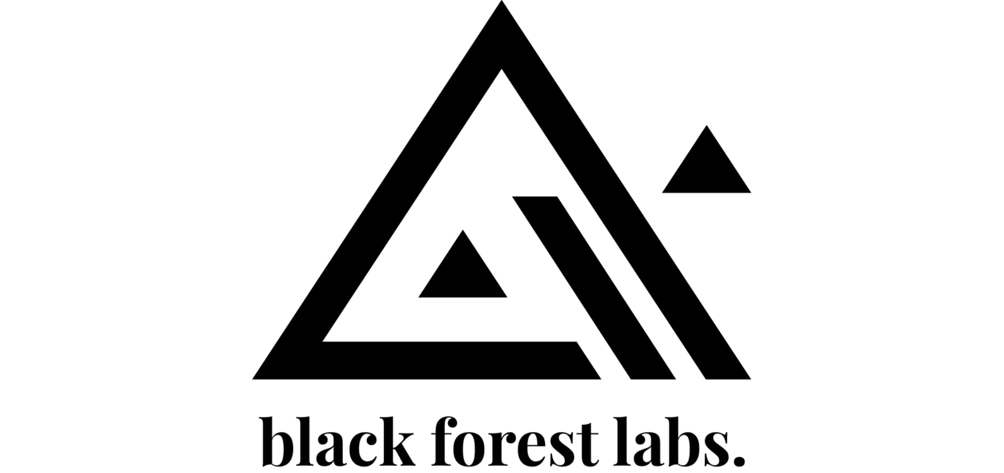 The Fast Lane of Image Generation