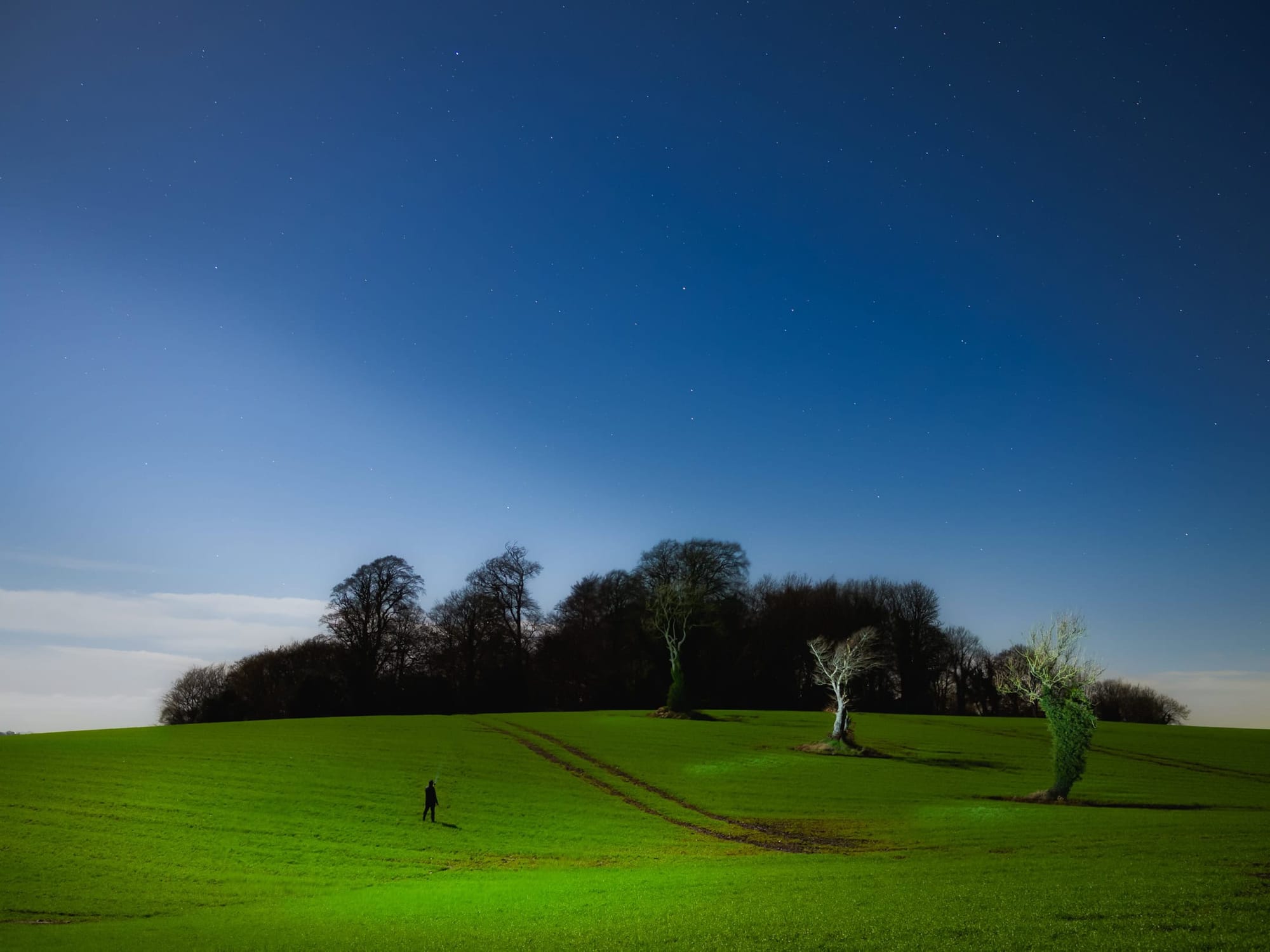 A man stands shining a torch at a ring of trees. Tractor trails in the field lead to an old ringfort