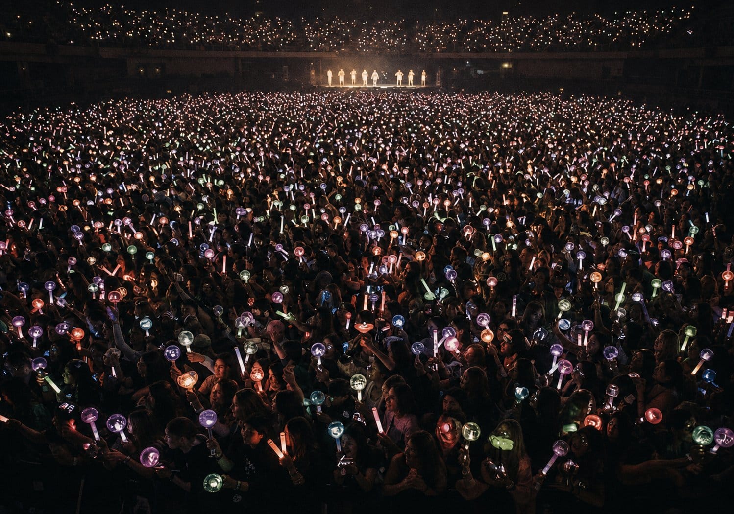 fan meeting lightstick crowd