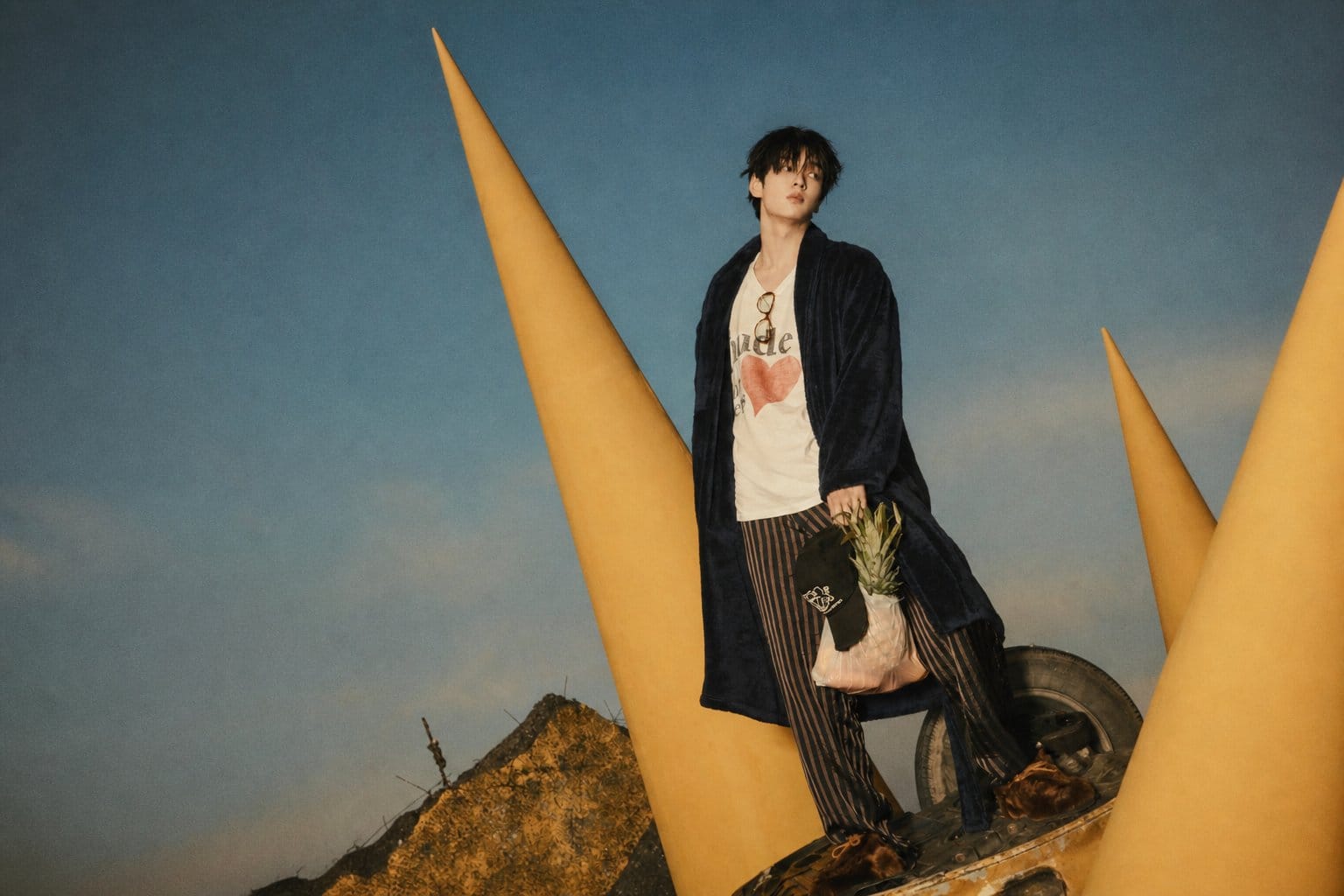 Vision Wings eighth mini album cover concept