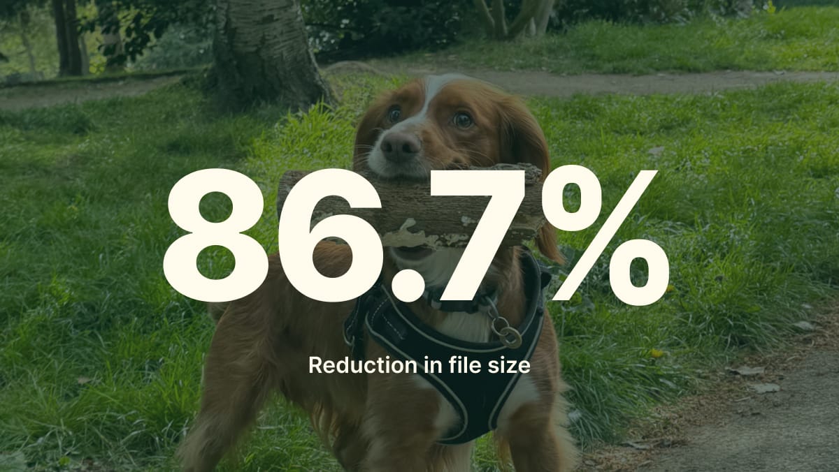 86.7% reduction in file size, overlaid on a photo of Hugo the spaniel.