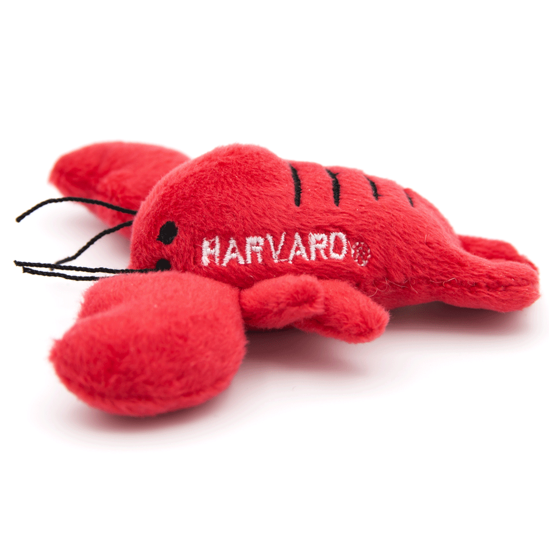 The Card Works | Magnets